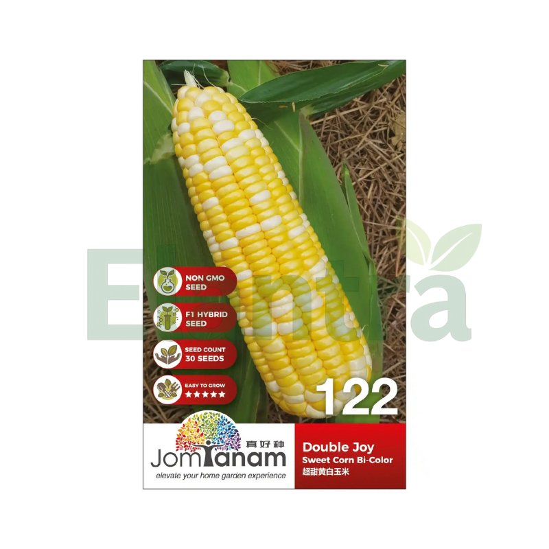 122 SWEET CORN BI-COLOR